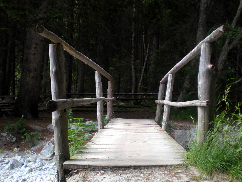 ''Entra…nel bosco!'' - Rasun-Anterselva