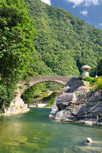 101526-534x800 101526-534x800