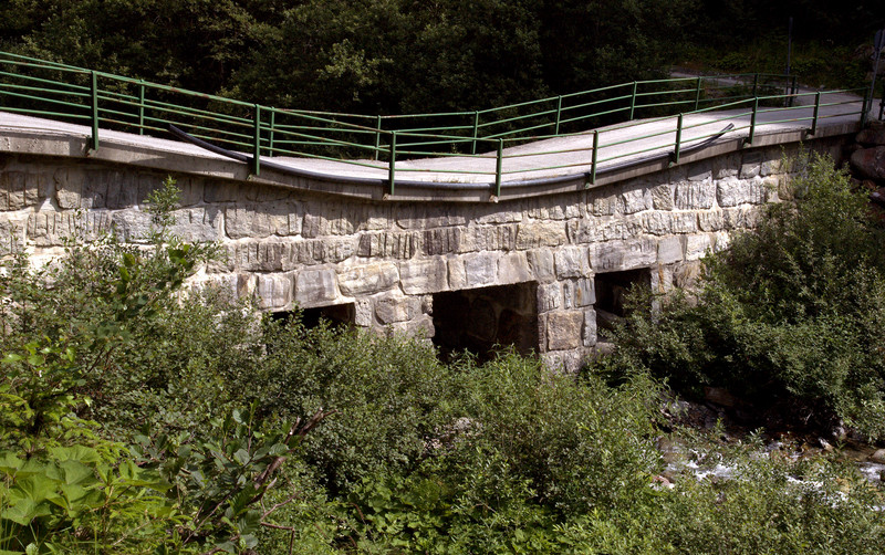 ''Un ponte di pietra in Val Madre'' - Fusine