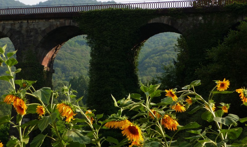 ''il ponte di cisano'' - Cisano Bergamasco