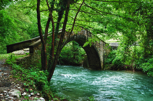 101942-800x531 101942-800x531