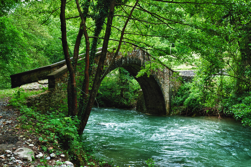 ''Ascoso nel verde'' - Gallicano