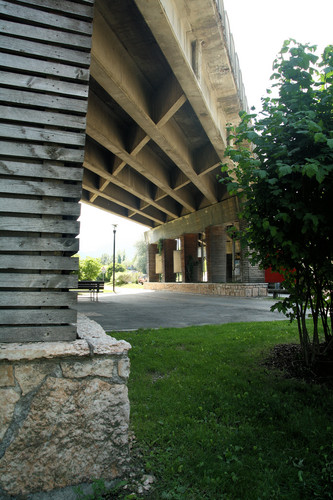 101980-533x800 101980-533x800