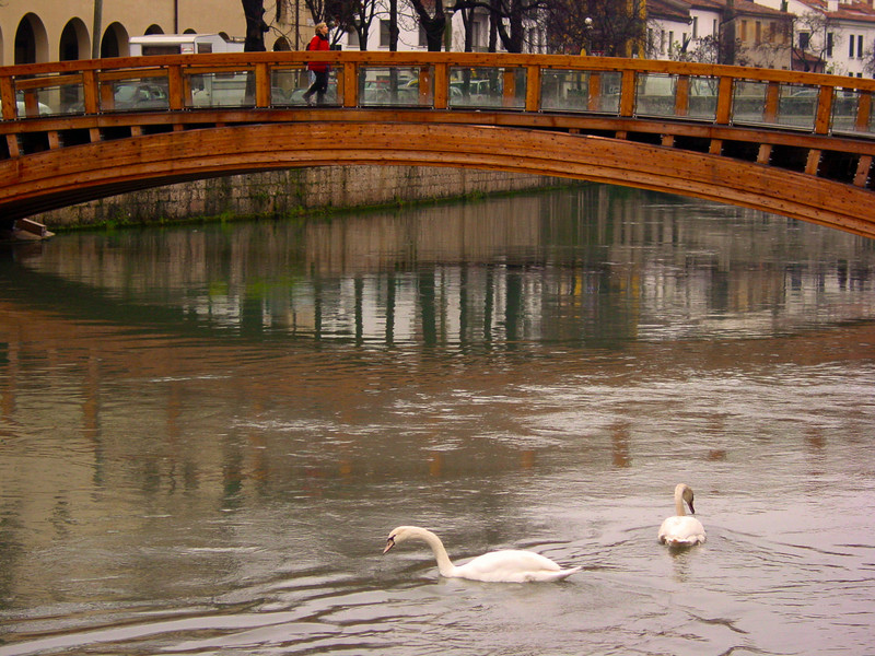 ''Riviera Santa Margherita'' - Treviso