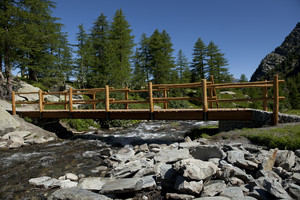 Ponte di legno ad Arpy