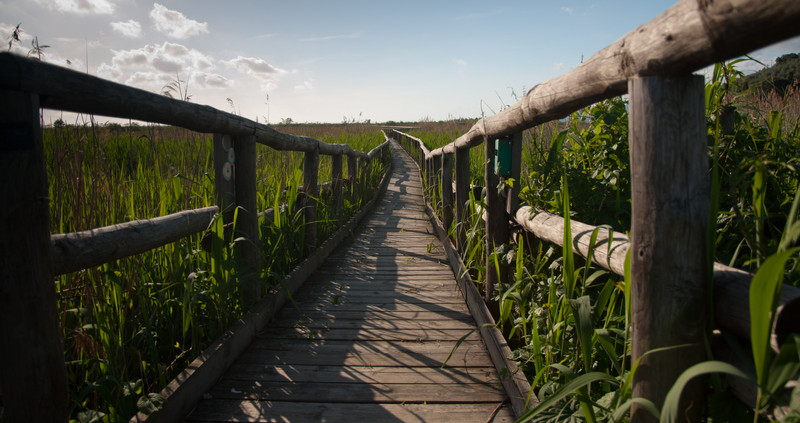 ''tu chiamale se vuoi …. Emozioni …'' - Massarosa