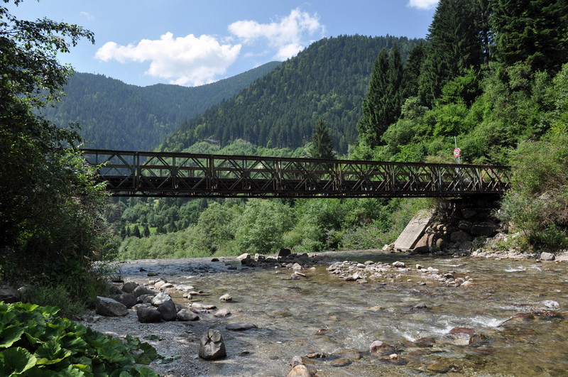 ''Ponte nel bosco'' - Scurelle