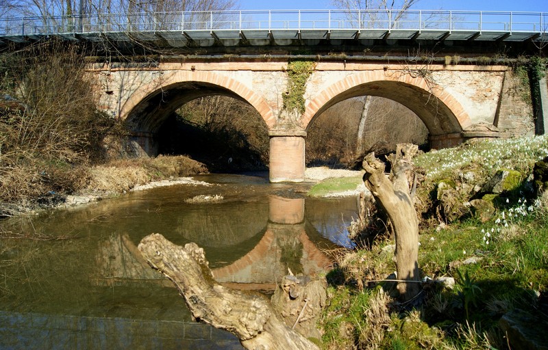 ''Rami'' - Pederobba