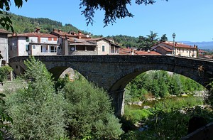 Ponte di Castel San Niccolò