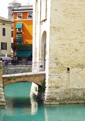 91582-567x800 91582-567x800