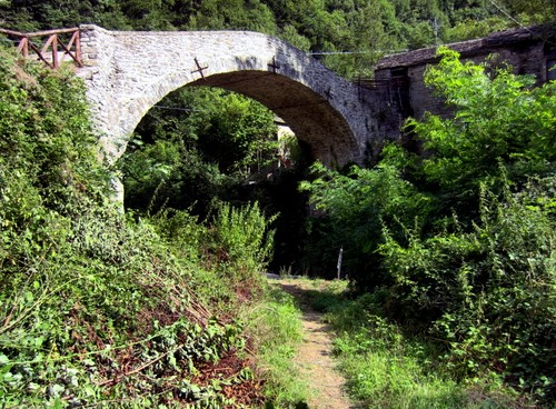 92648-800x589 92648-800x589