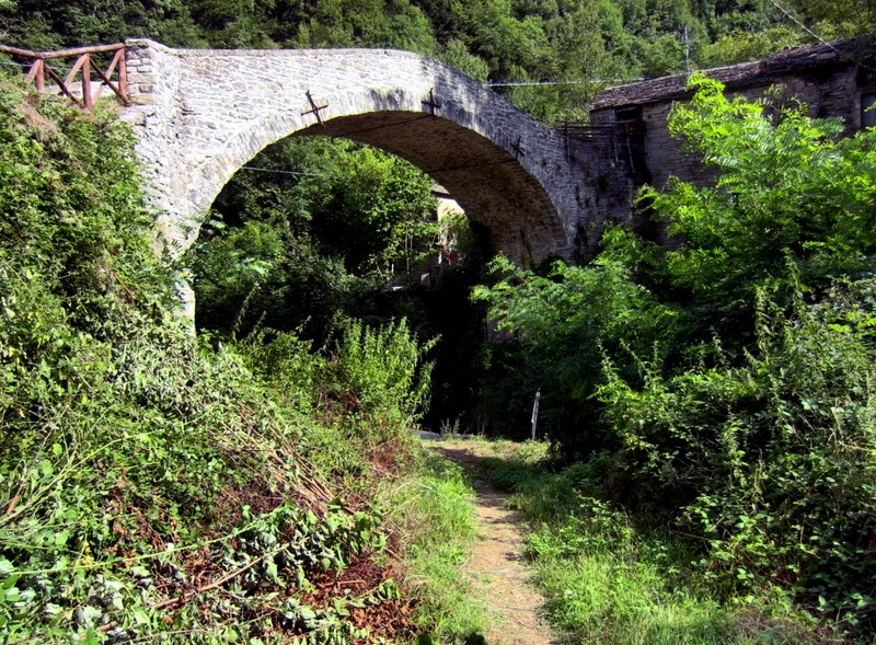 ''Ferragosto in collina'' - Premilcuore