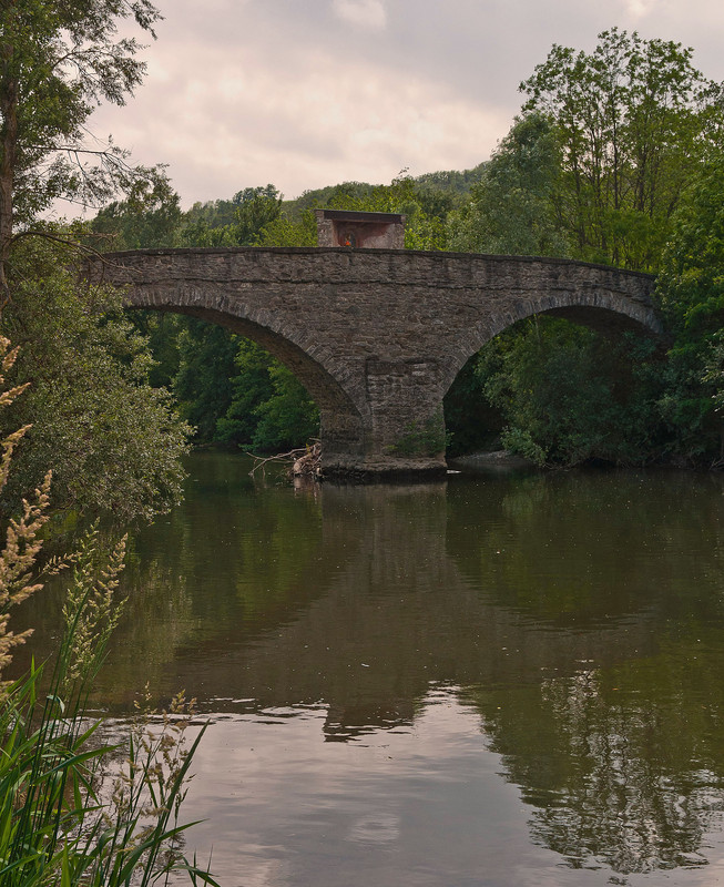 ''immerso nel verde'' - Cairo Montenotte