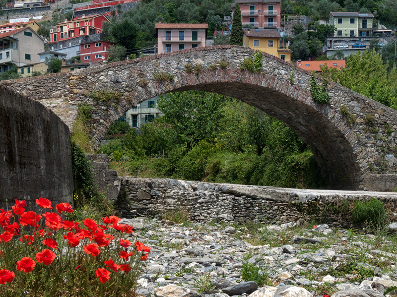 ''Papaveri e Papere'' - Recco
