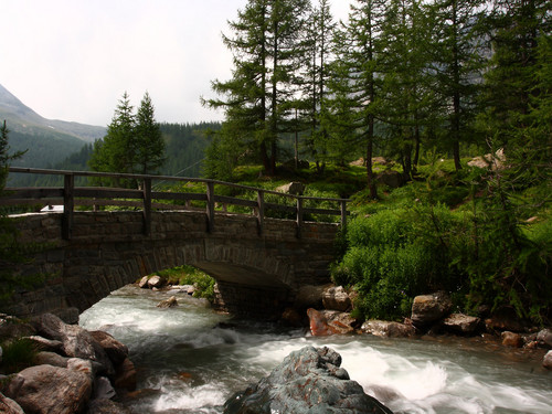 93089-800x600 93089-800x600