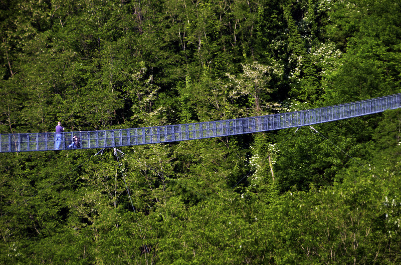 ''Io Tarzan, tu Jane'' - San Marcello Pistoiese