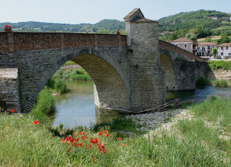 ''Papaveri e…'' - Monastero Bormida