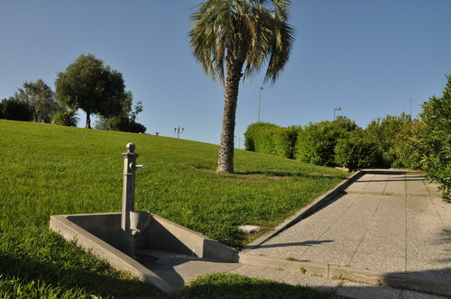 95766-800x531 95766-800x531