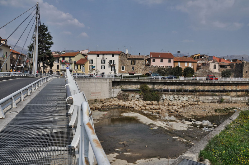 ''il gregge'' - Villanova d'Albenga