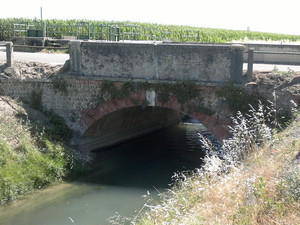 Ponte 5 sul canale raccoglitore
