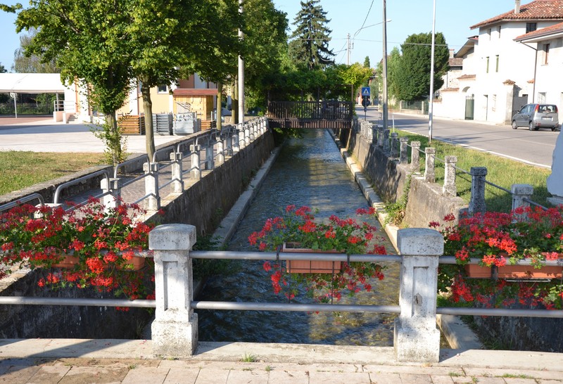 ''I colori dei fiori sul ponte'' - Arzene