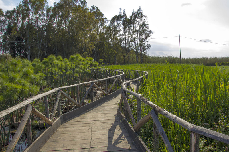 ''Ponte sui papiri'' - Siracusa