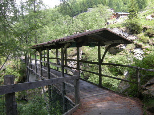 97022-800x600 97022-800x600