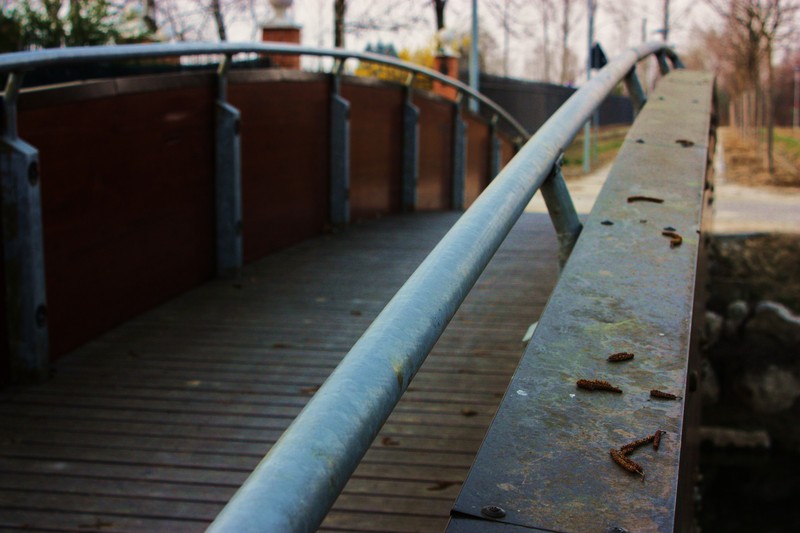 ''Ponticello a Orcenico Inferiore'' - Zoppola