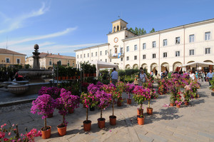 La piazza del “maggio in fiore”