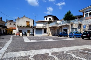 Cupressus sempervirens,var. horizontalis – Piazza Caduti di guerra – Fontegreca