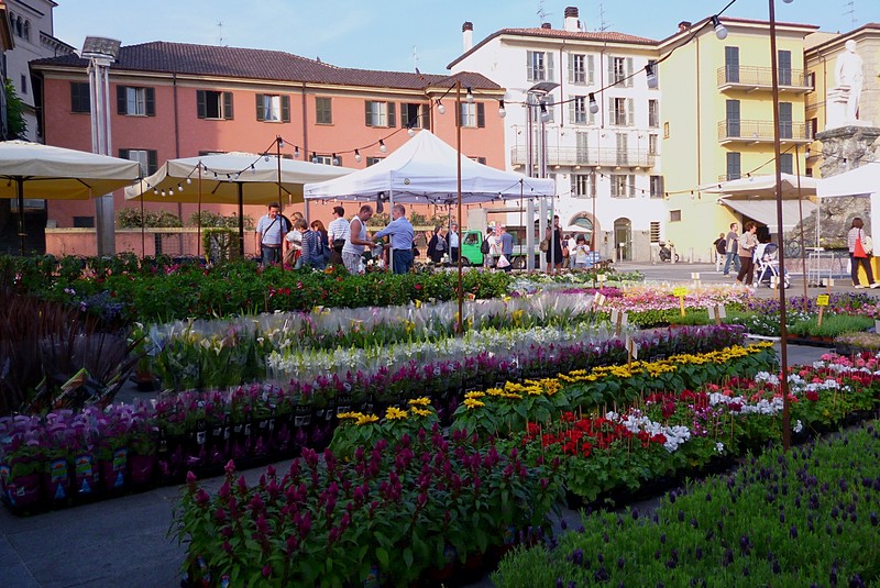 ''Fiori in piazza'' - Lecco