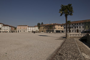 una palma in piazza