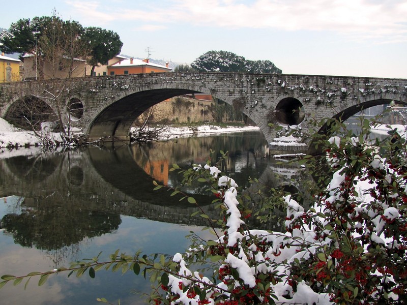 ''Le bacche rosse'' - Prato