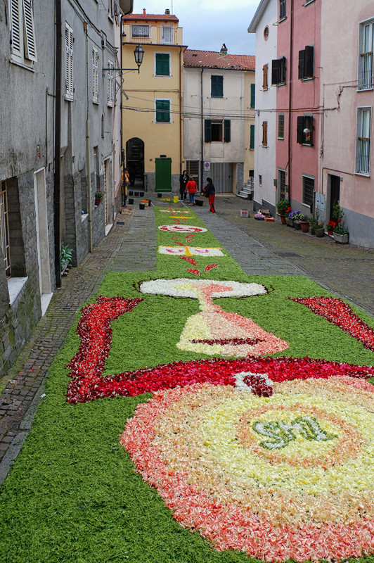 ''Infiorata Maggio 2008'' - Santo Stefano di Magra