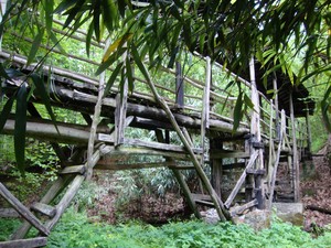 Aspettando Tarzan…