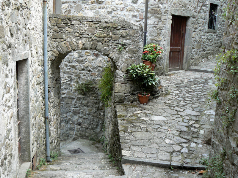 ''nel Borgo medievale del castello'' - Bagnone