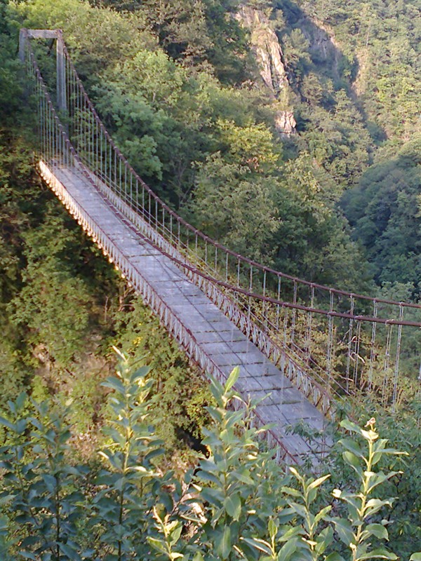 ''un ponte per Tarzan'' - Cavaglio-Spoccia