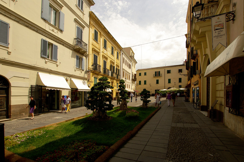 ''Bonsai in piazza'' - Alghero