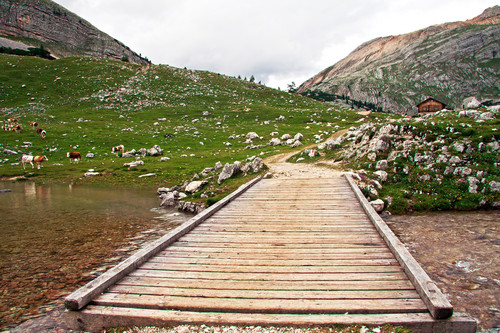 106860-800x533 106860-800x533