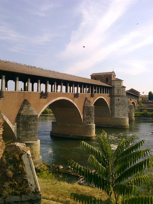 ''il ponte coperto'' - Pavia