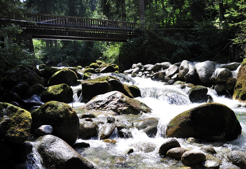 ''Ponte sul Meledrio'' - Dimaro