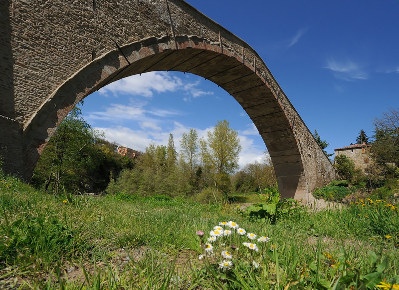 ''Disteso ad ammirare'' - Castel del Rio