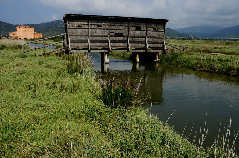 ''Una capanna ponte'' - Castiglione della Pescaia