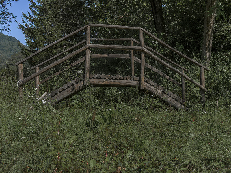 ''Il più piccolo'' - San Colombano Certenoli