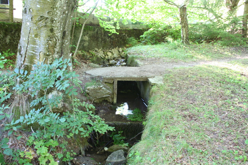 ''Piccolo Ponticello per un Piccolo Torrente'' - Abbadia Lariana