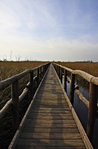 Camminare verso l’infinito…