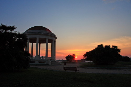 109169-800x533 109169-800x533