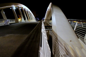 Il Ponte della Musica visto dall’altra sponda