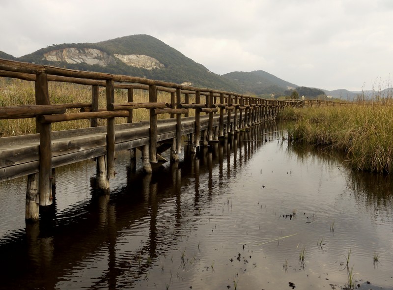 ''Oasi'' - Massarosa