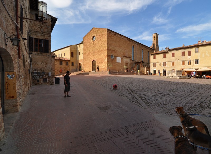 ''Ehi! Il “bocconcino” è servito! O trattasi di sincera apprensione canina?'' - San Gimignano